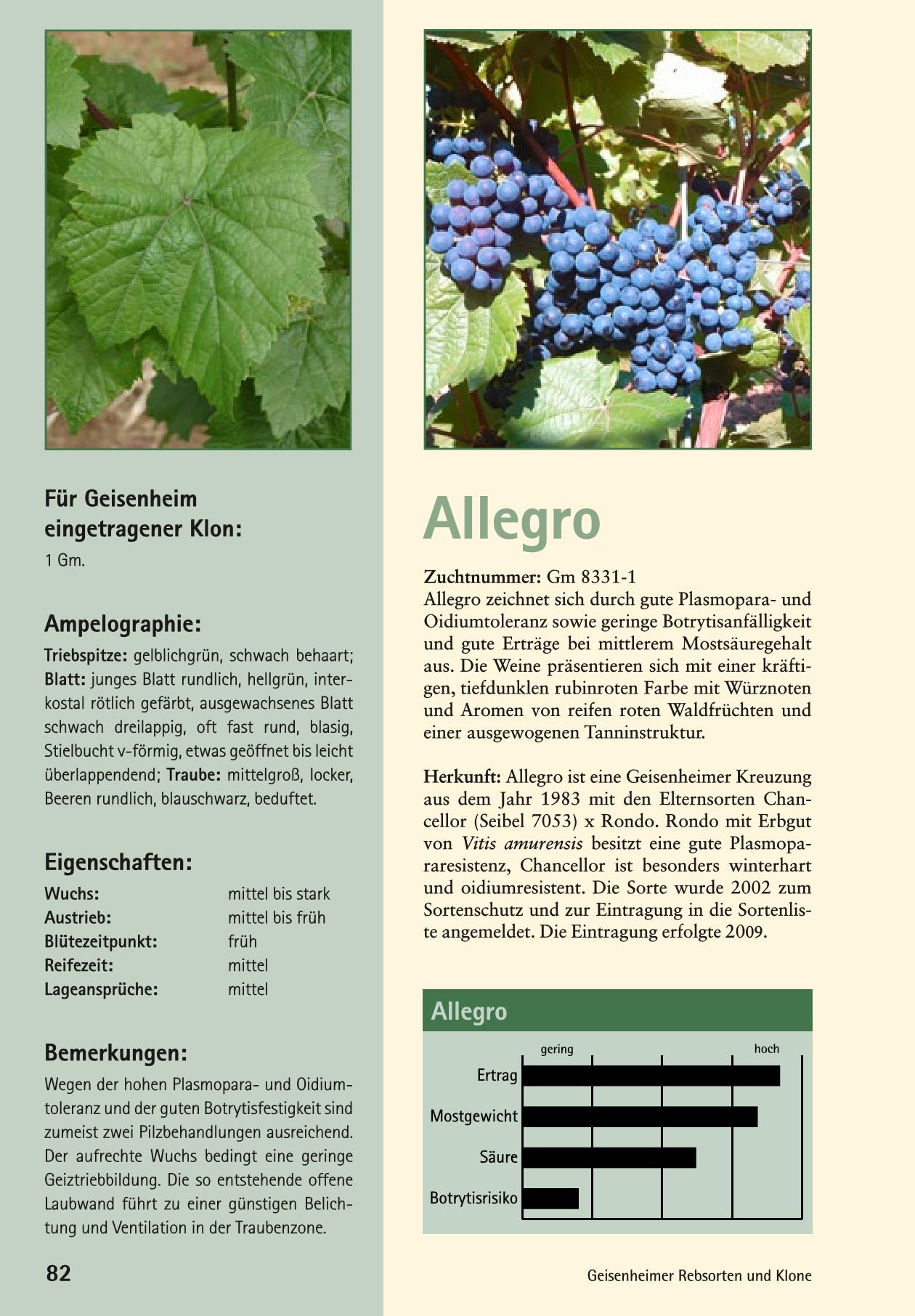 Allegro Page 1