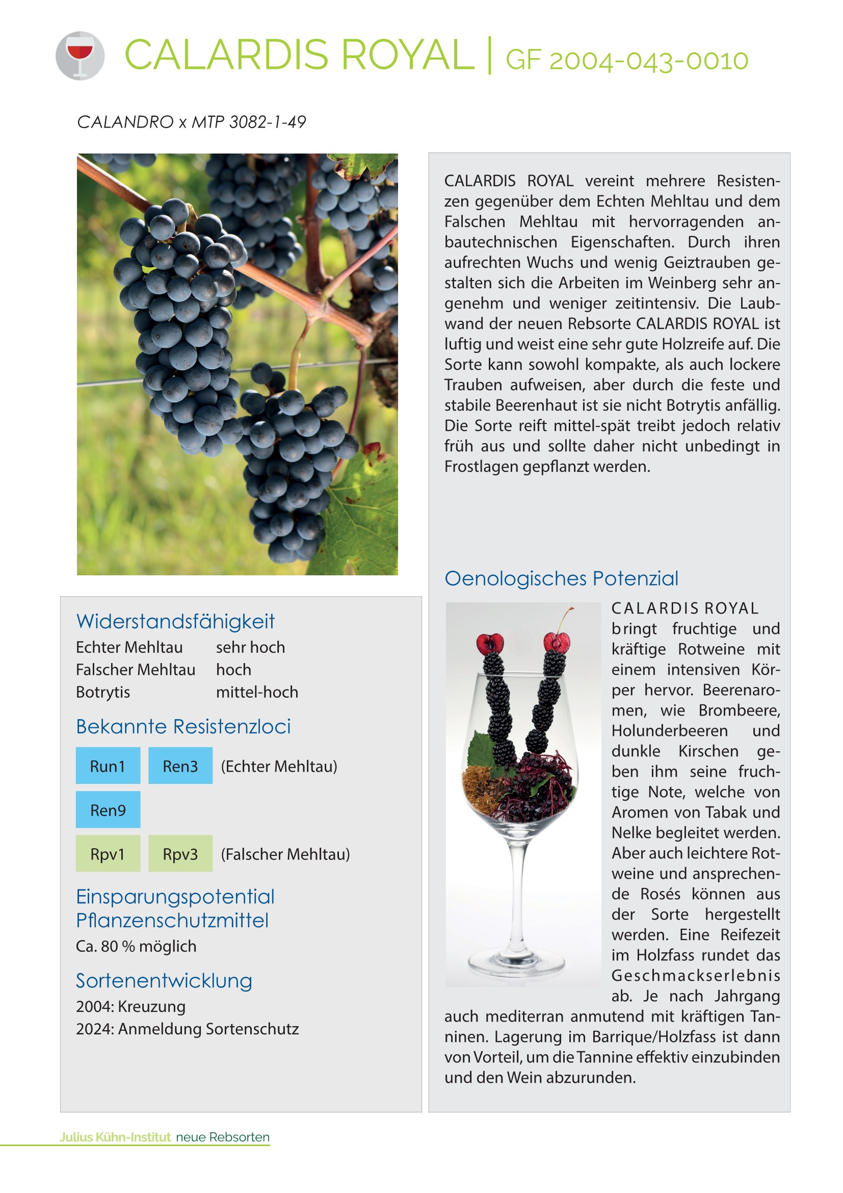 Einlage CalardisRoyal Rebsortenkatalog AW re li Page 3