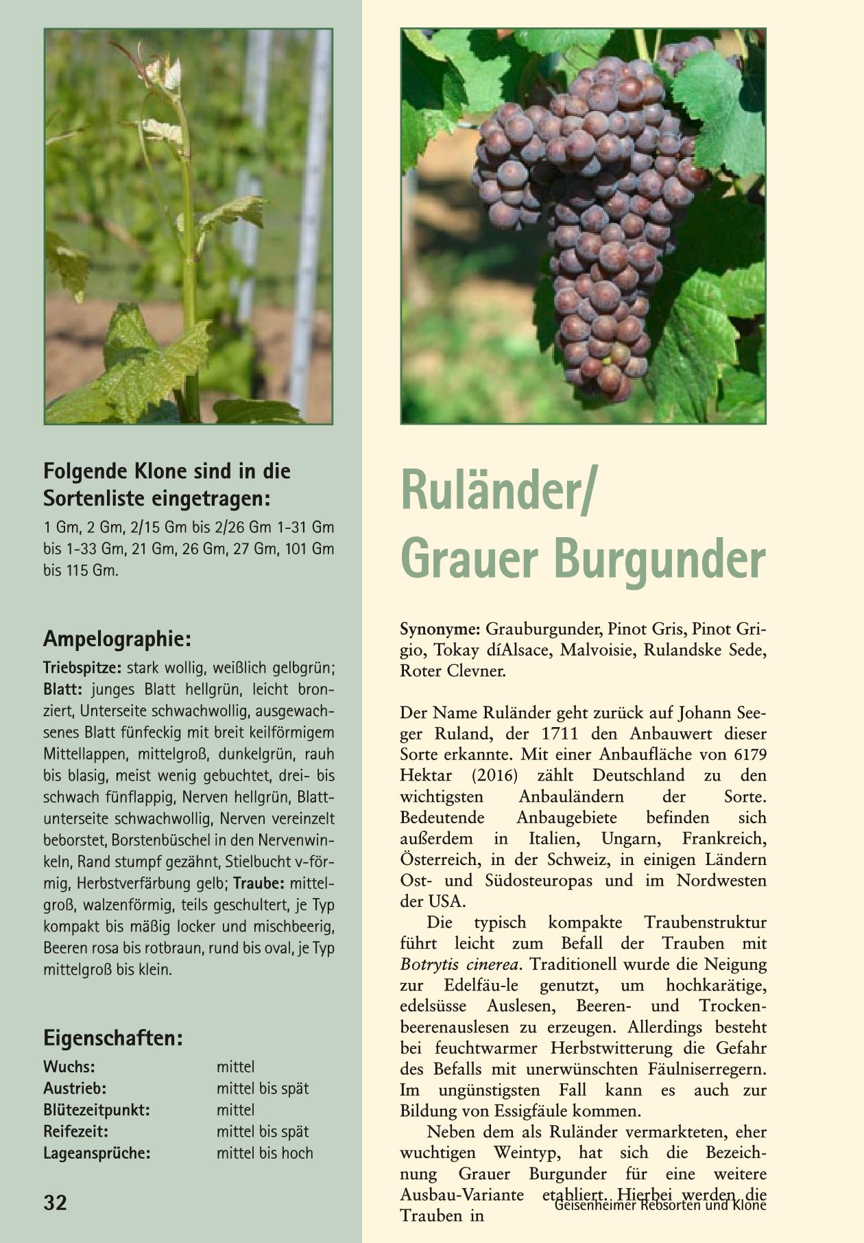 Rulaender Page 1