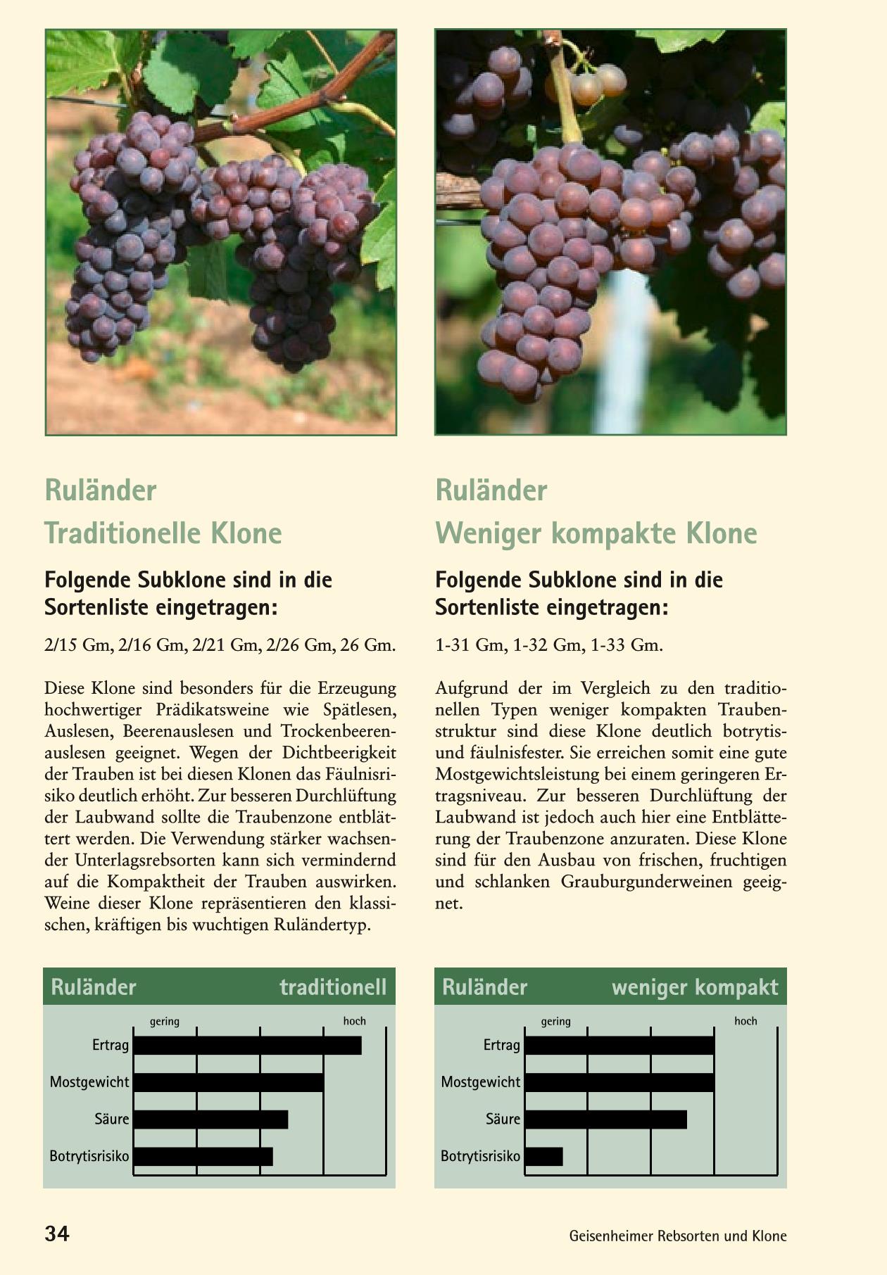 Rulaender Page 3